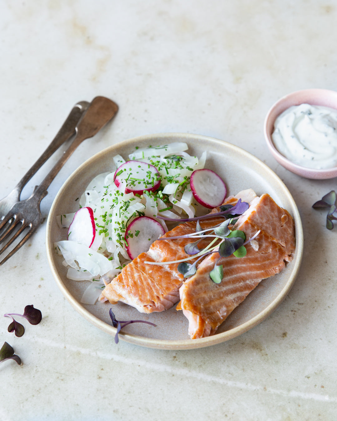 Savulohta ja fenkolisalaattia lautasella. 